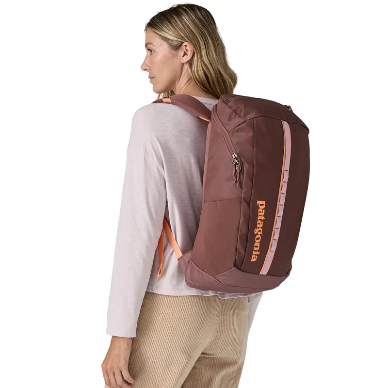 Patagonia Black Hole Pack 25L Dulse Mauve-2