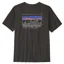 Patagonia 73 Skyline T-Shirt Men's Ink Black