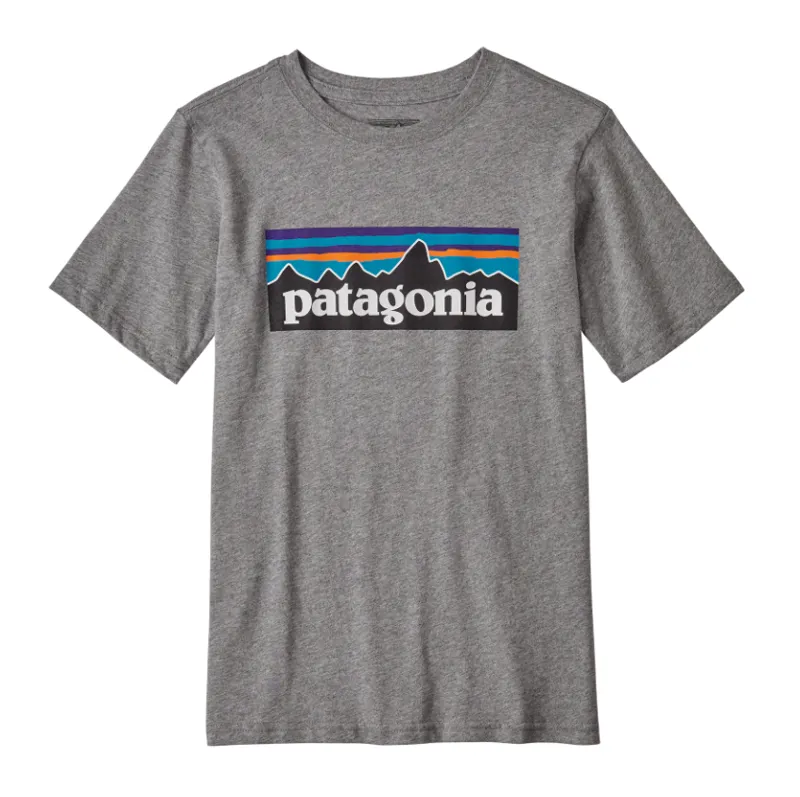 Patagonia P-6 Logo Organic Cotton Boys T-Shirt in Grey