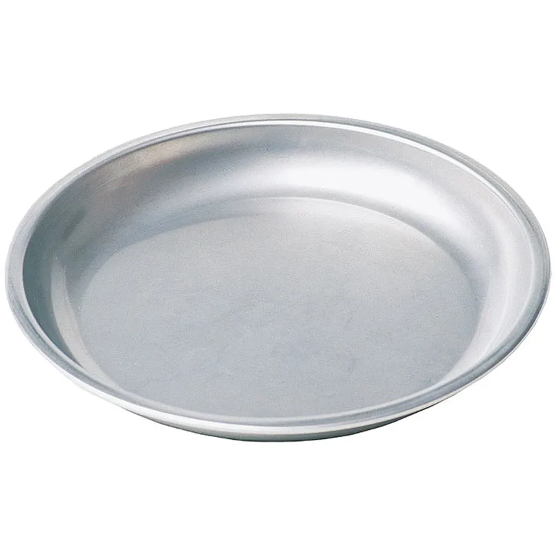 MSR Alpine Plate - Lightweight Stainless Steel